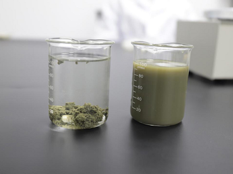 造纸厂废水脱色处理